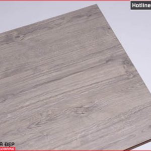 sàn gỗ rainforest 8ly IR82