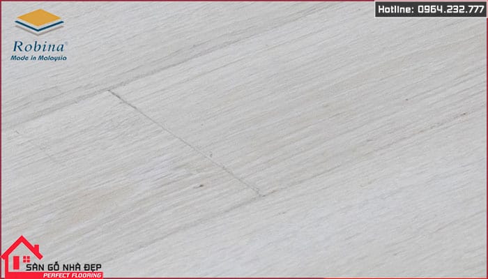 sàn gỗ Robina 12ly o117