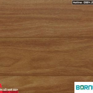 Sàn gỗ Borneo 12mm BN19